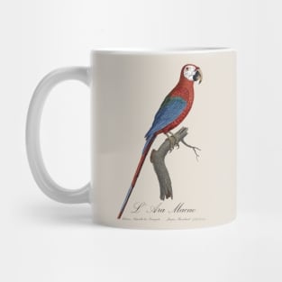 Red and Green Macaw Parrot - L' Ara Macao - Jacques Barraband 19th century Illustration Mug